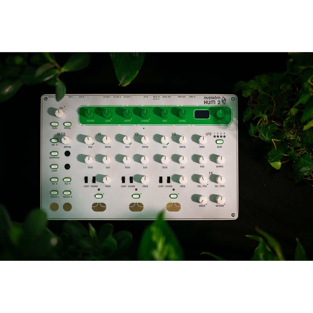 Nyström HUM 2 vu de dessus, entouré de plantes vertes