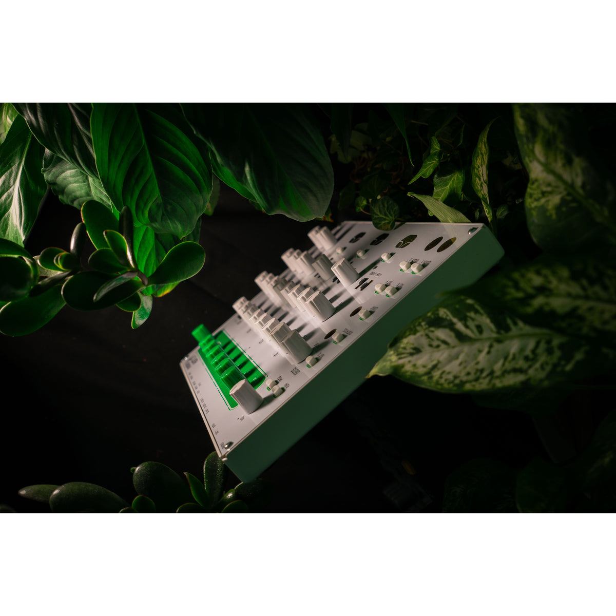 Nyström HUM 2 posé sur la tranche entre des plantes
